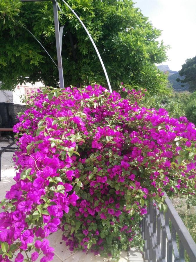Incantevole Villa Con Vista Mozzafiato チェファル エクステリア 写真