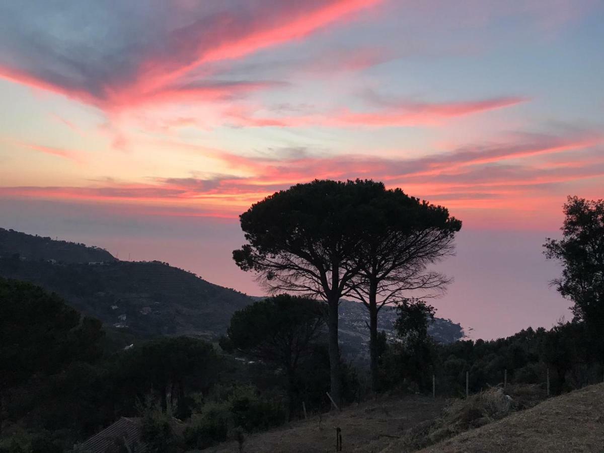 Incantevole Villa Con Vista Mozzafiato チェファル エクステリア 写真