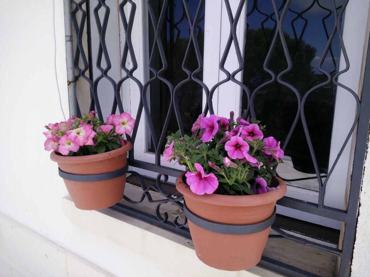 Incantevole Villa Con Vista Mozzafiato チェファル エクステリア 写真